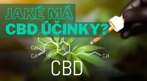 Jaké má CBD účinky